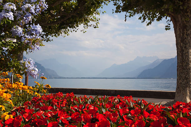 Boardwalk and Flowers on Lake Leman