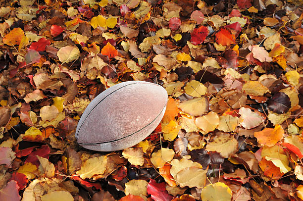 istock Autum football 184647559