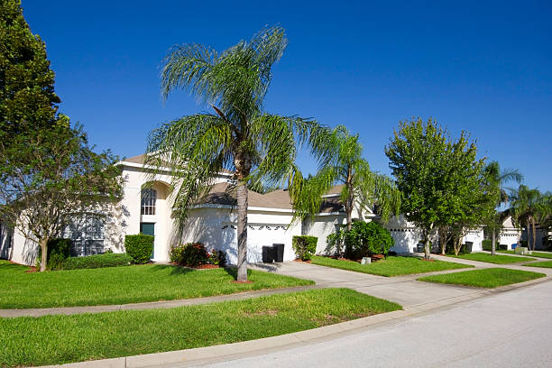 quartiere - palm tree florida house residential district foto e immagini stock