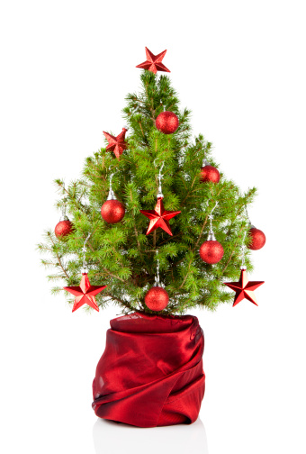A small decorated Christmas tree isolated on a white background.