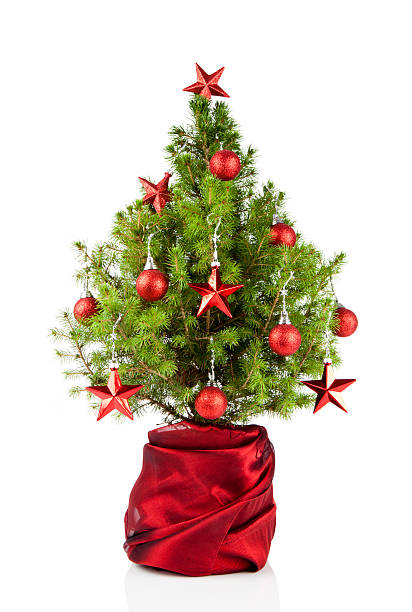 Christmas tree stock photo