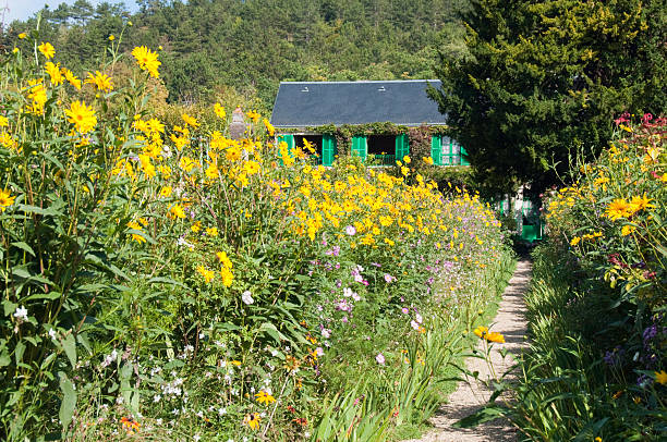 Sunflower Garden Gravel path leads through a garden of sunflowers to a rustic French house giverny stock pictures, royalty-free photos & images