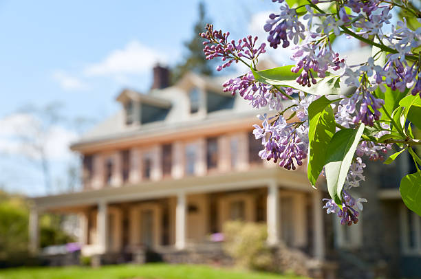 Lilac branch in der exklusiven Familien-Haus – Foto