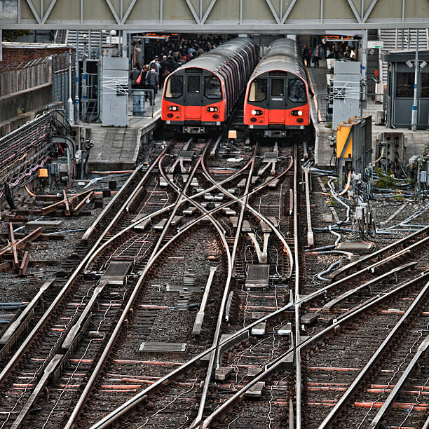 Trains standing in station.
