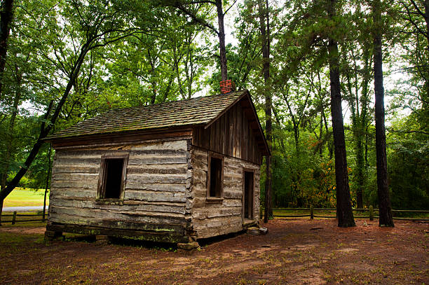 istock One room cabin in the woods 184648813