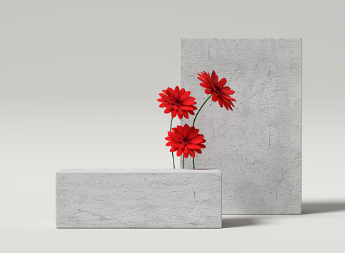 Minimalistic showcase podium or pedestal mock up for product display with rectangular concrete stands and red flowers on white background. 3D render.