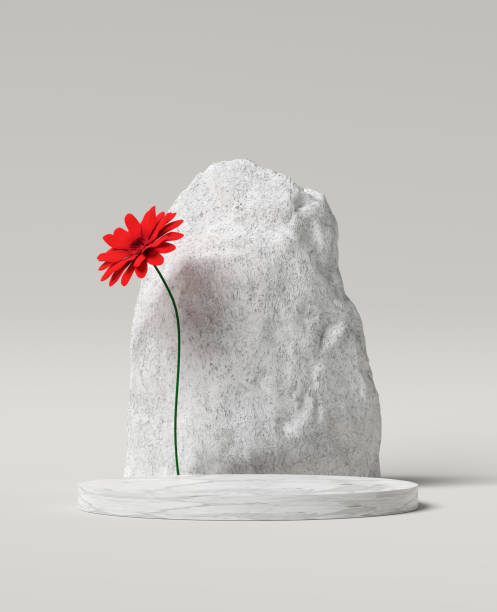 istock Minimalistic showcase podium or pedestal mock up for product display with cylindrical concrete stand, natural stone and red flower on white background. 1846489222