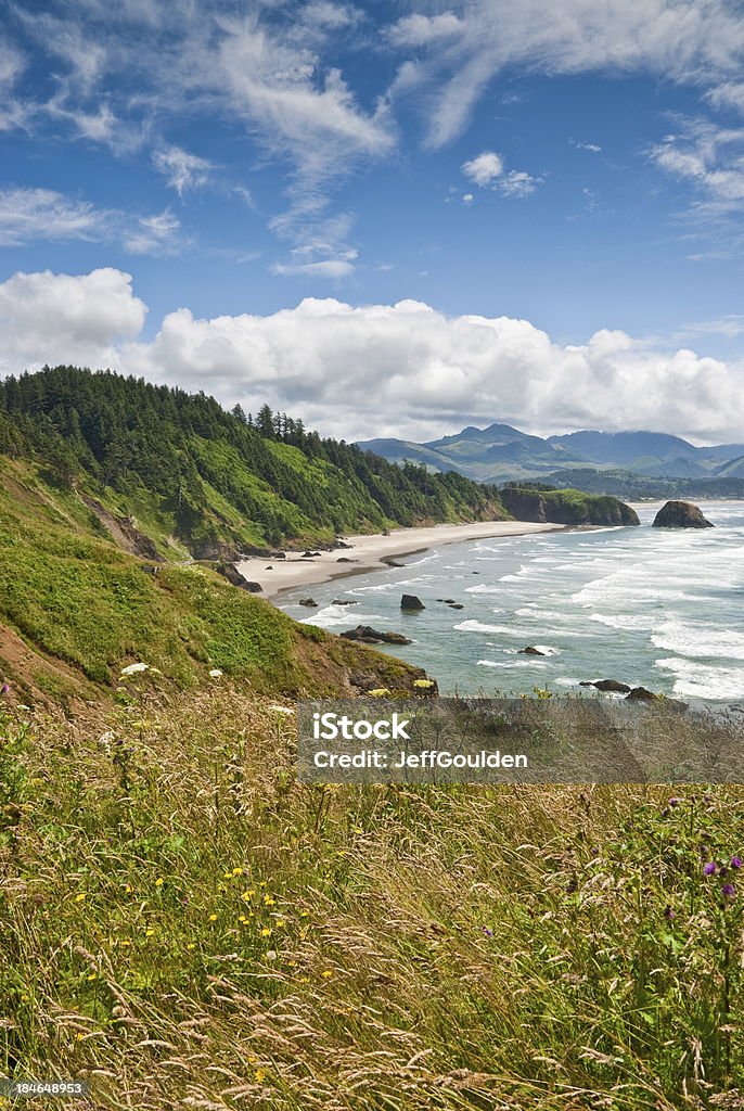 Meadow of Wildflowers Above the Pacific Ocean The landscapes and seascapes of the Pacific Coast are a constant source of inspiration for photographers. This picture of a meadow of wildflowers and the Pacific Ocean was photographed from Ecola Point at Ecola Point State Park near Cannon Beach, Oregon, USA. Beach Stock Photo