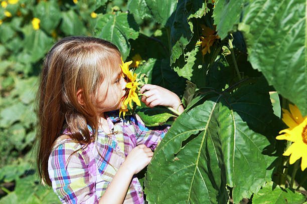istock Little Girl Smelling Sunflower 184649053