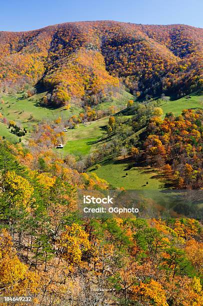 Monongohela National Forest In Autumn Stock Photo - Download Image Now - Allegheny Mountains, Landscape - Scenery, Mountain