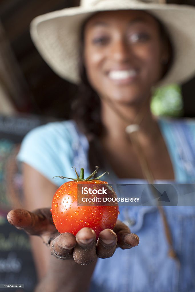 Pomodoro biologica - Foto stock royalty-free di Afro-americano