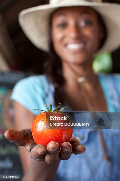 Pomodoro Biologica - Fotografie stock e altre immagini di Afro-americano - Afro-americano, Agricoltore, Agricoltura