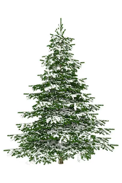 "Fake Snowy Christmas tree isolated on white background,"