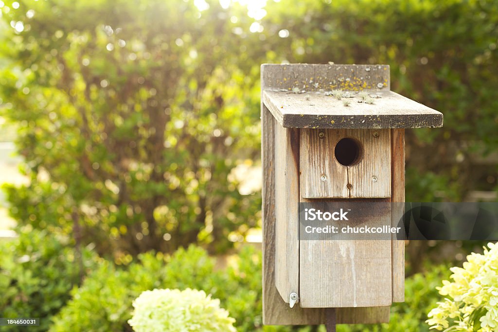 Casetta per gli uccelli in legno illuminato da luce naturale - Foto stock royalty-free di Aiuola