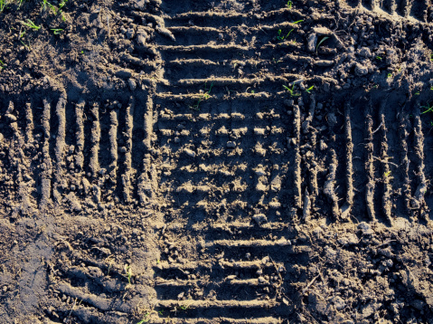 Tractor tracks on dirt. Use full as background - copy space