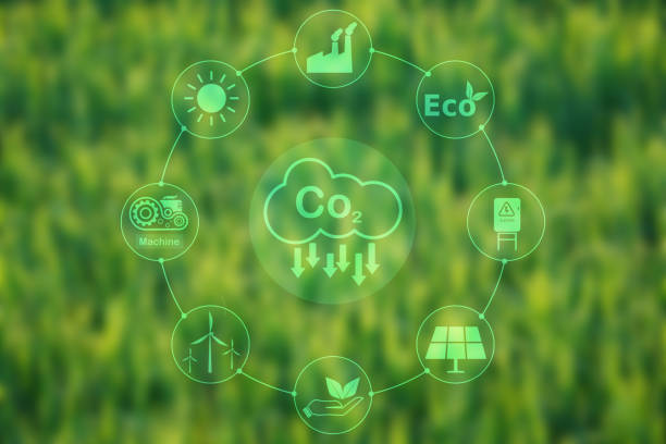 istock Concept of energy saving and nature energy. 1846504038