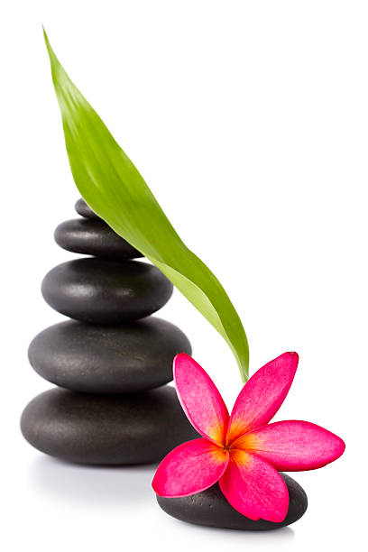 istock Lastones for massage therapy with frangipani isolated on white 184650608