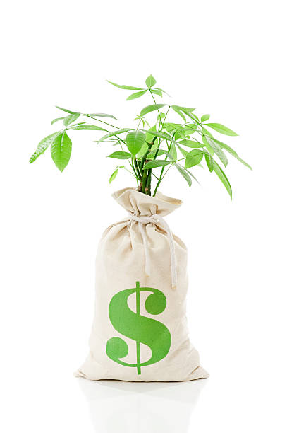 istock Money Tree - Dollar Moneybag 184651076