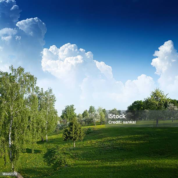 Foto de Colinas Verdes Sob O Céu Azul e mais fotos de stock de Azul - Azul, Beleza natural - Natureza, Bosque - Floresta