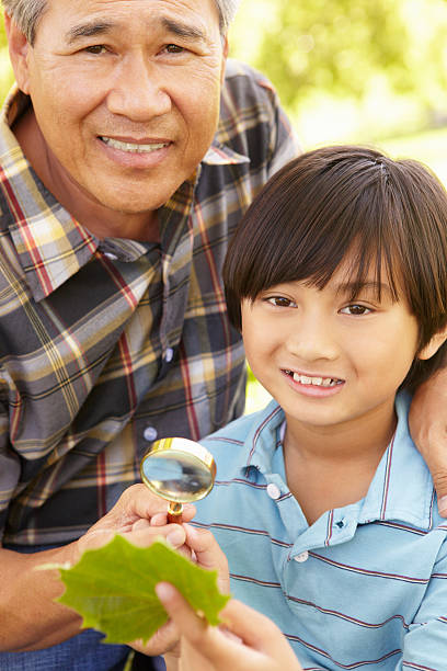 menino e seu avô analisar folha - filipino ethnicity grandfather senior adult family - fotografias e filmes do acervo