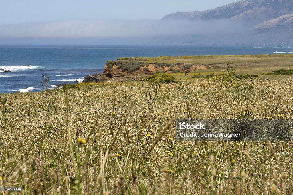 Blumen und Gras mit Coast - Lizenzfrei Anhöhe Stock-Foto