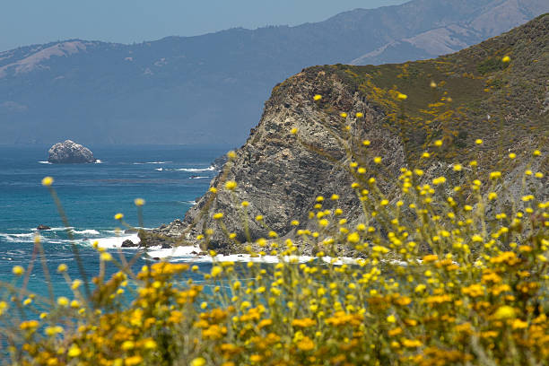 istock Cliff and Flowers on Coast 184652107