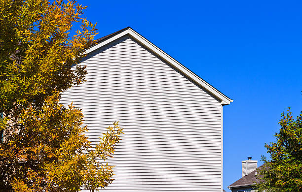 istock New home with vinyl siding and gutters 184652756