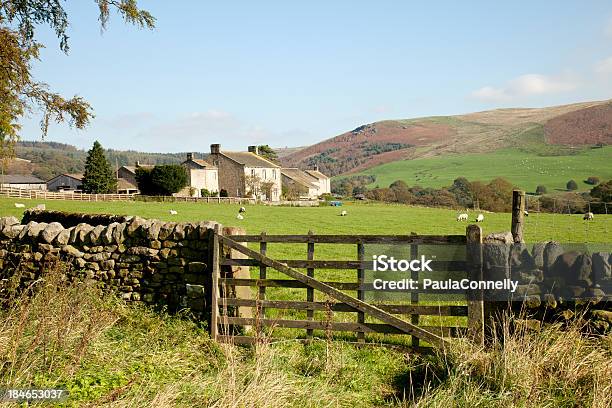 Yorkshire Farm Stockfoto und mehr Bilder von Bauernhaus - Bauernhaus, Yorkshire Dales-Nationalpark, England