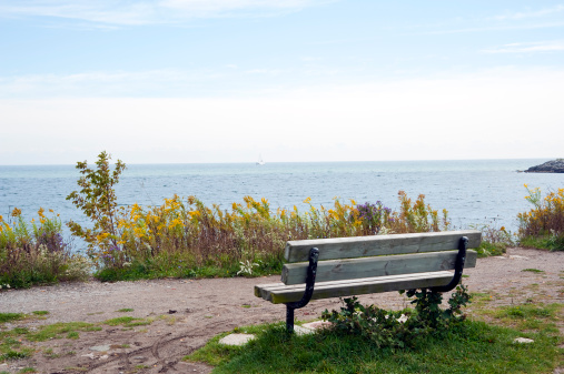 An outdoor bench in a park with a view of the water surrounded by Fall colour.