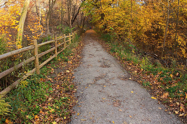 istock Healthy Lifestyle in Autumn 184653862