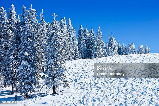 Idílico Pista De Esquí En Invierno Foto de stock y más banco de imágenes de Abeto Picea - Abeto Picea, Aire libre, Belleza de la naturaleza