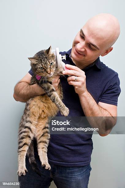 Foto de Gato De Beleza e mais fotos de stock de Gato doméstico - Gato doméstico, Escova de Animal, Escovar