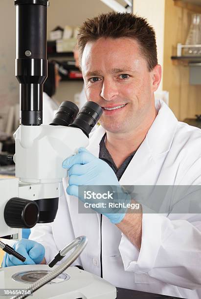 Foto de Trabalhador Em Um Laboratório e mais fotos de stock de 30 Anos - 30 Anos, Adulto, Adulto de idade mediana