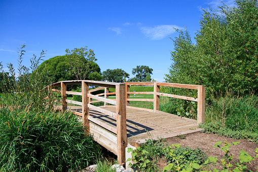 A wooden bridge with some plants growing. Draper Park, Utah