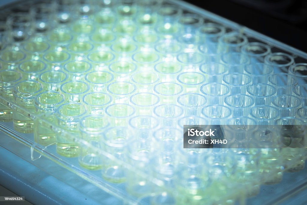 test tube in laboratory Pharmaceutical Factory Laboratory equipment in clean room,,real place Medicine Stock Photo