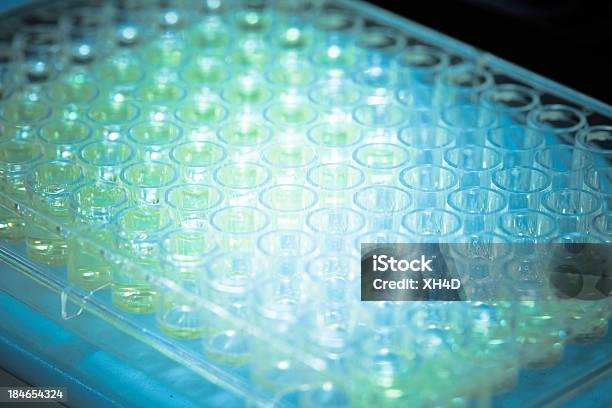 Test Tube In Laboratory Stock Photo - Download Image Now - Medicine, Manufacturing, Development