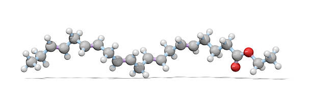 Omega-3 Essential Fatty Acid Model A ball and stick model of Ethyl Eicosapentaenoic Acid or E-EPA. It is an omega-3 polyunsaturated fatty acid. eicosapentaenoic acid stock pictures, royalty-free photos & images