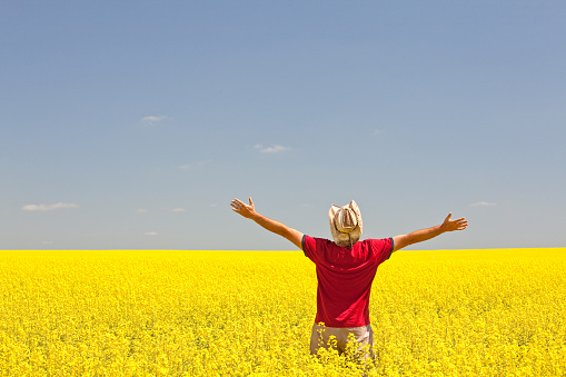 A man lifts his hands to the sky on the prairie. Saskatchewan, Canada. Brightly lit image of an unrecognizable male Caucasian lifting his arms in a yellow canola field on the great plains. Back view. Themes of the image include gratitude, praise and worship, freedom, single, travel, men, happiness, contentment, peace, joy, hope, men, bright, cowboy hat, and self. 