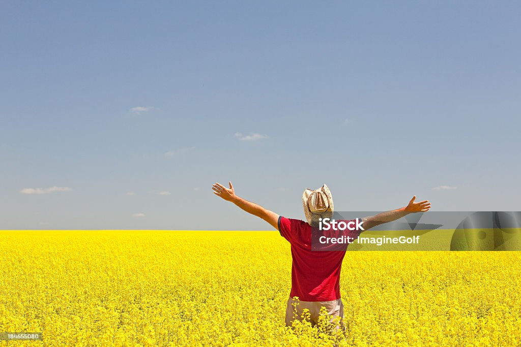 Happy Caucasian Male on the Prairie in Canola Field A man lifts his hands to the sky on the prairie. Saskatchewan, Canada. Brightly lit image of an unrecognizable male Caucasian lifting his arms in a yellow canola field on the great plains. Back view. Themes of the image include gratitude, praise and worship, freedom, single, travel, men, happiness, contentment, peace, joy, hope, men, bright, cowboy hat, and self.  Saskatchewan Stock Photo