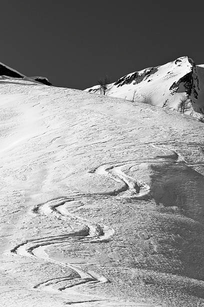 istock Tracks in the snow - B&W 184656076