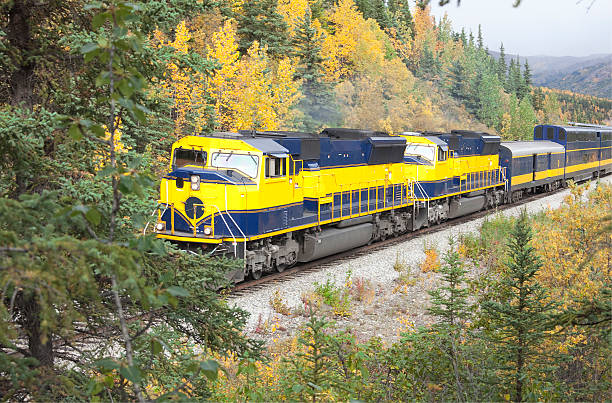 istock Alaska passenger train passing through Denali National Park 184656242