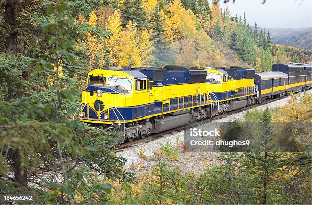 Alaska Pociąg Pasażerski Przechodzącej Przez Park Narodowy Denali - zdjęcia stockowe i więcej obrazów Stan Alaska