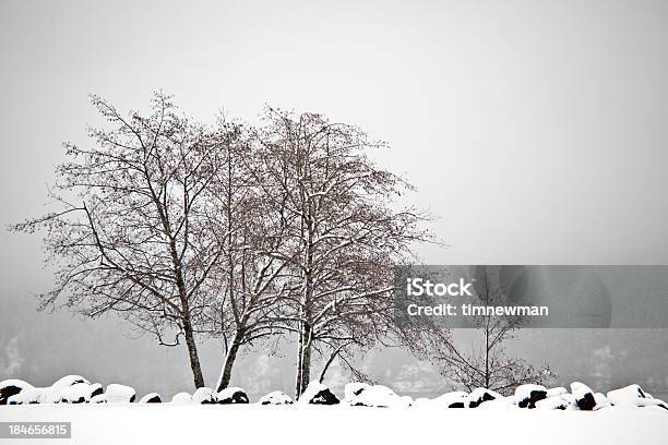 Zimowy Krajobraz - zdjęcia stockowe i więcej obrazów Bez ludzi - Bez ludzi, Biały, Brzask