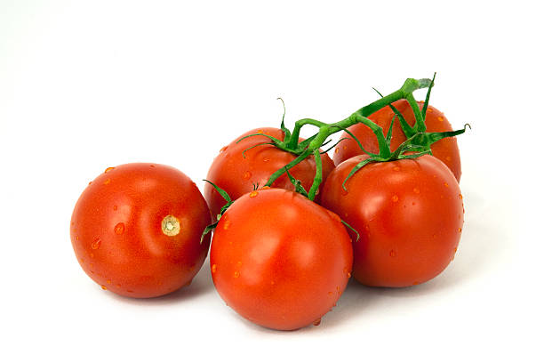tomates en la vid - tomatoes on vine fotografías e imágenes de stock