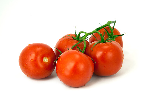 Ripe tomatoes on the vine isolated on white.