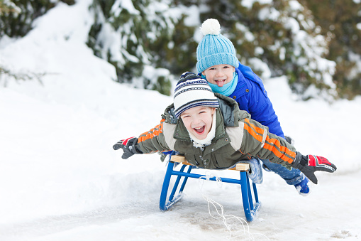 Two little boys sledding on snow.