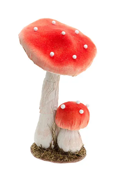 Photo of Toadstools