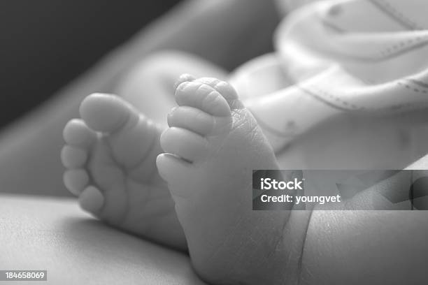 Baby Feet Stock Photo - Download Image Now - 0-11 Months, Abdomen, Baby - Human Age