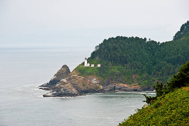 Heceta Head Overlooking the Pacific Ocean The Heceta Head Lighthouse, built in 1894 and on the National Register of Historic Places, is still a working lighthouse. It stands 205 feet above the Pacific Ocean and casts a beam of light 21 miles out to sea. It is said to be one of the most photographed lighthouses in the United States. The Heceta Head Lighthouse is located 13 miles north of Florence, Oregon, USA. jeff goulden oregon coast stock pictures, royalty-free photos & images