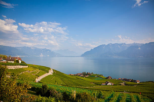 istock Vineyards Around Lake Leman 184658507
